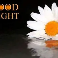 Sam photo on Jungo Live