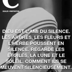 Serge photo on Jungo Live