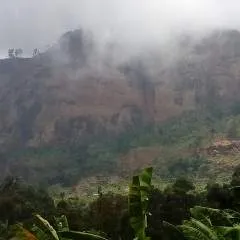 Amuza photo on Jungo Live