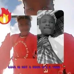 Stevovo photo on Jungo Live