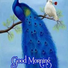 Tuhin photo on Jungo Live