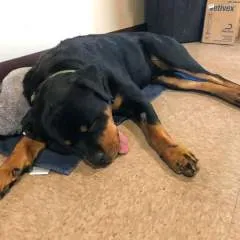 Williams Davis photo on Jungo Live