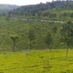 Siva photo on Jungo Live