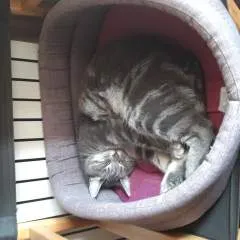 Adriano_9 photo on Jungo Live