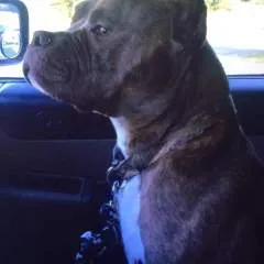 Simonbigddy photo on Jungo Live