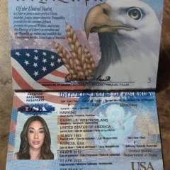 Norks photo on Jungo Live