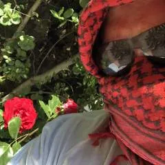 Teamnoir photo on Jungo Live