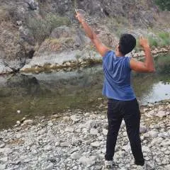 Monty photo on Jungo Live