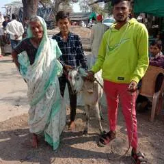 Punu photo on Jungo Live