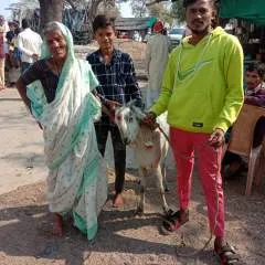 Punu photo on Jungo Live