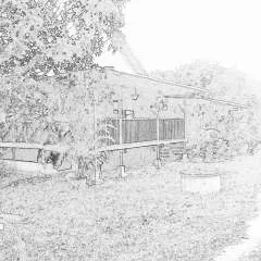 Kojek69 photo on Jungo Live