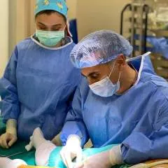 Dale Minshwe photo on Jungo Live