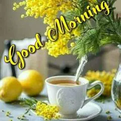 Suresh photo on Jungo Live