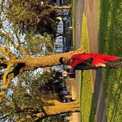 Mato photo on Jungo Live