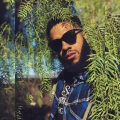 Kelvinallen photo on Jungo Live