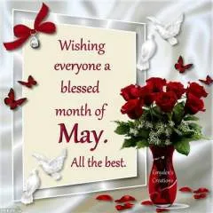 Softboy photo on Jungo Live