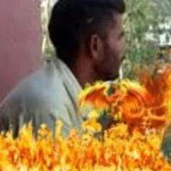 Ankit Patel photo on Jungo Live