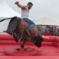 Taylor Faulk photo on Jungo Live