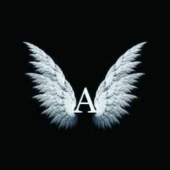 Amalga photo on Jungo Live