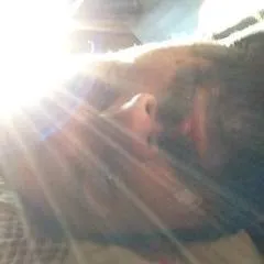 Damascus........ photo on Jungo Live