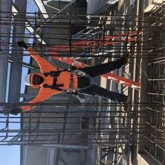 Ttone photo on Jungo Live