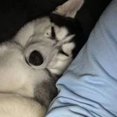 Dangerously Horney A Loyal Woman photo on Jungo Live