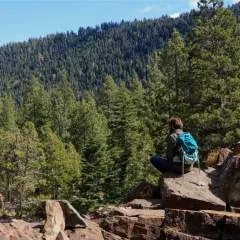 Constantin Isaac photo on Jungo Live