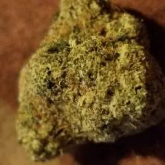 Twisted photo on Jungo Live