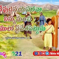 J photo on Jungo Live