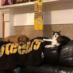 Lucas photo on Jungo Live