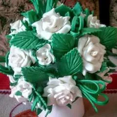 Lucas photo on Jungo Live