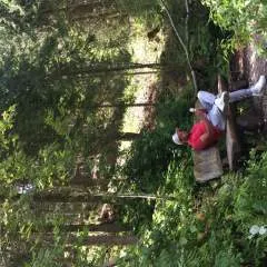 Migo photo on Jungo Live