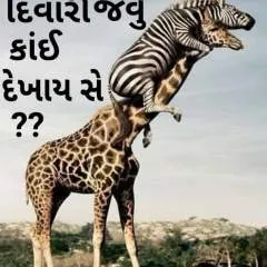 Jainam photo on Jungo Live