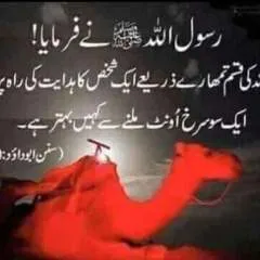 Sahi photo on Jungo Live