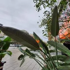 Angelo Chao photo on Jungo Live