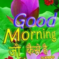 Raj photo on Jungo Live