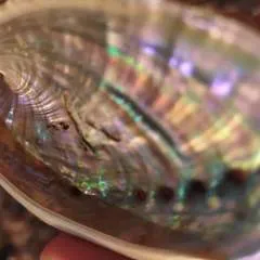 Isam photo on Jungo Live