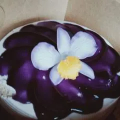 Jai photo on Jungo Live