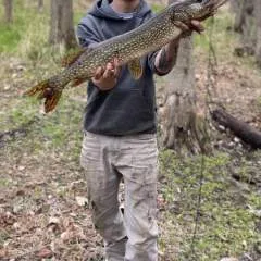 Jed photo on Jungo Live