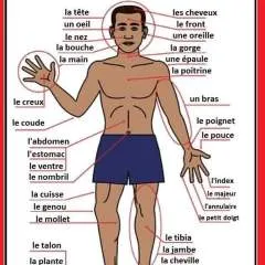 Diego Morales photo on Jungo Live