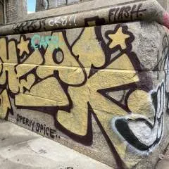 Will&seni photo on Jungo Live