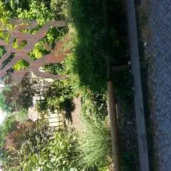 Thorthor photo on Jungo Live