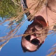 Rangeredd photo on Jungo Live