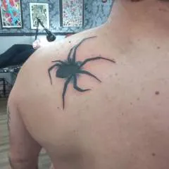 Gato.safado photo on Jungo Live