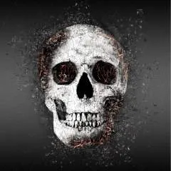 Andy photo on Jungo Live