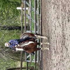 Cowboy.... photo on Jungo Live