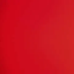 Josh.... photo on Jungo Live