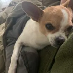 Goddessalks photo on Jungo Live