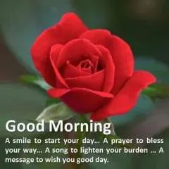 Aur photo on Jungo Live