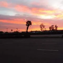 Big Mick08 photo on Jungo Live